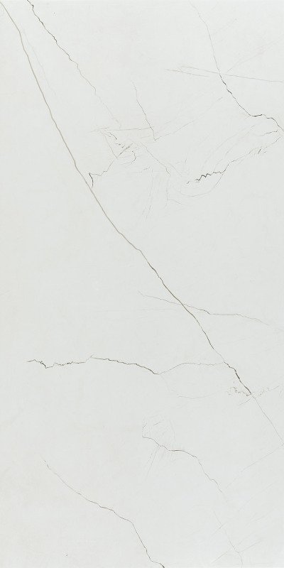 Купить Pamesa CR Desert Lev Rect 60x120 