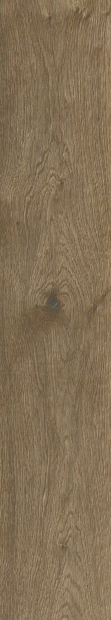 Купить Neodom Wood Collection Havana Brown 20x120 