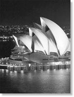 Купить SYDNEY 25х33 