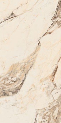 Купить Neodom Splendida Calacatta Gold 60x120 
