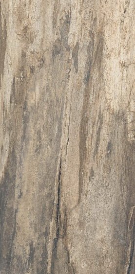 Купить Emil Ceramica Petrified Tree Beige Bark 45х90 