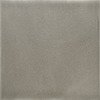 Купить Adex Nature Liso Marengo 10х10 
