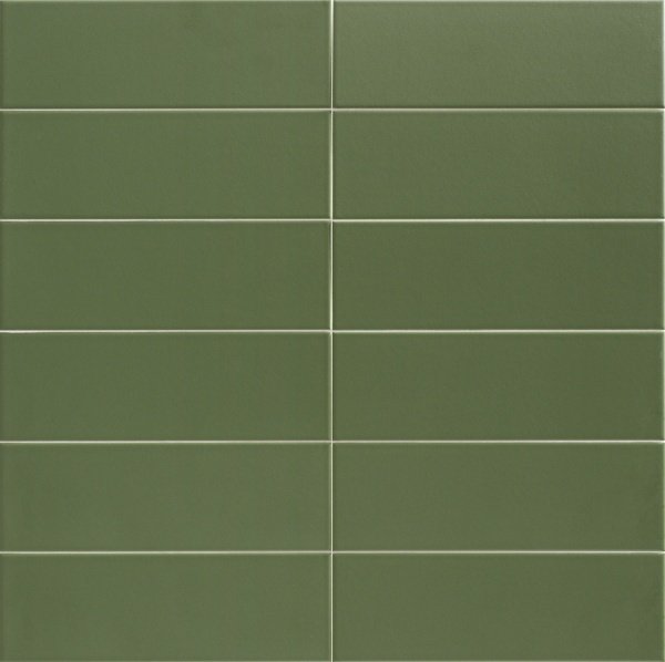 Купить Mainzu Jungle Olive 10х30 