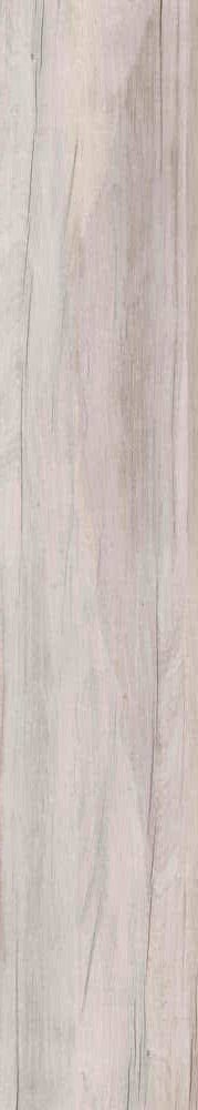 Купить ABK Dolphin Moon Rett. 20х120 