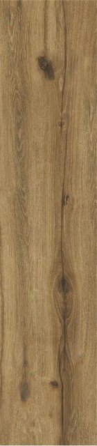 Купить STN Springwood Miel Rect 22,7x119,5 