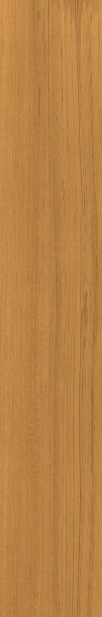 Купить Caesar Fabula Theca RT 20x120 