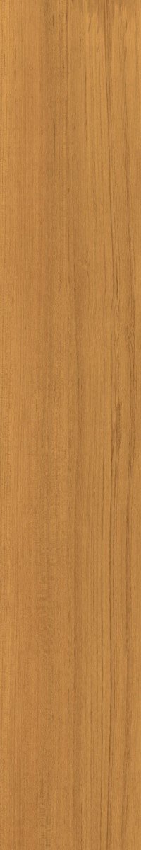 Купить Caesar Fabula Theca RT 20x120 