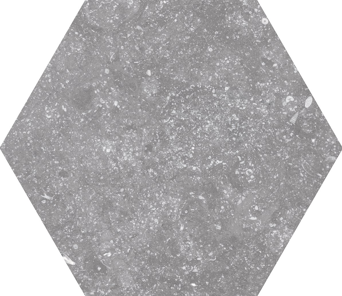Купить Equipe Coralstone Hexagon Grey 25,4х29,2 