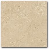 Купить Ceracasa Euphoria Light Pulido 38,8x38,8 