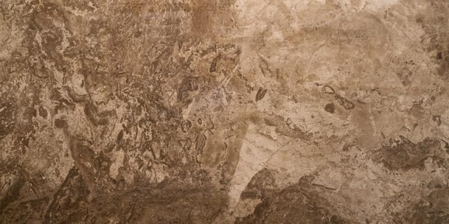 Купить Seranit Fossil Full Brown Lappato 60x120 