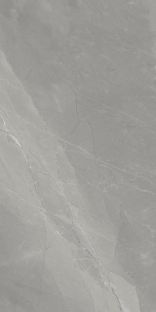 Купить Flais Myas Grey Mat 60x120 