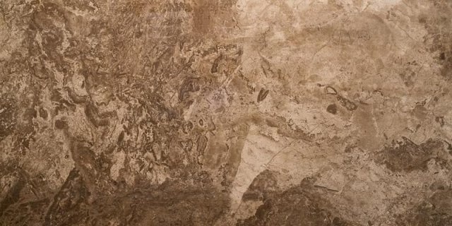Купить Seranit Fossil Full Brown Lappato 60x120 