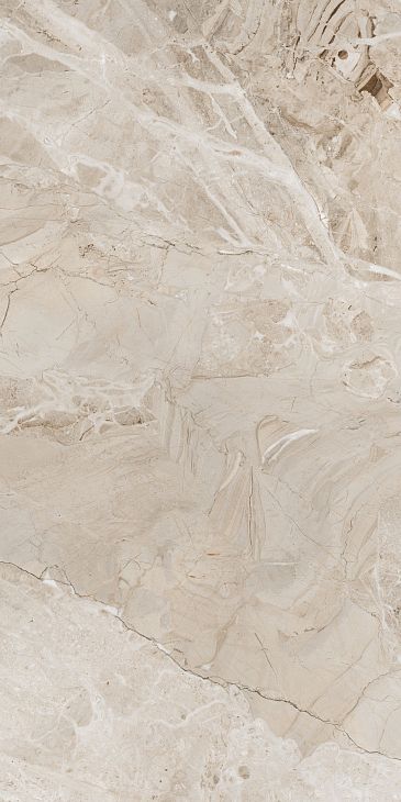 Купить Fanal Pulido NPlus Elegance Marfil Mat 60x120 