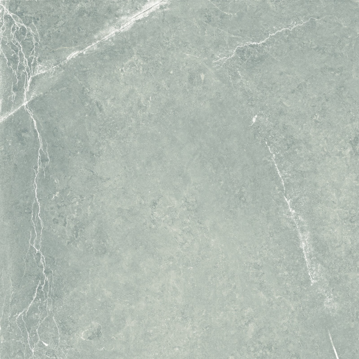 Купить Nival Gris Brillo Rect 60x60 