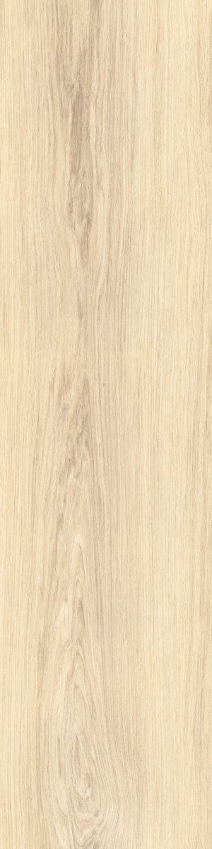 Купить Caesar Fabula Robus RT 30x120 