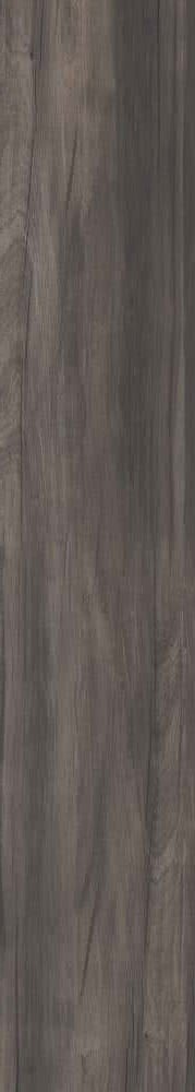 Купить ABK Dolphin Coal Rett. 20х120 