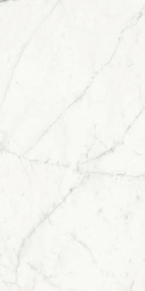 Купить FMG Select Bianco Venato Extra 60x120 