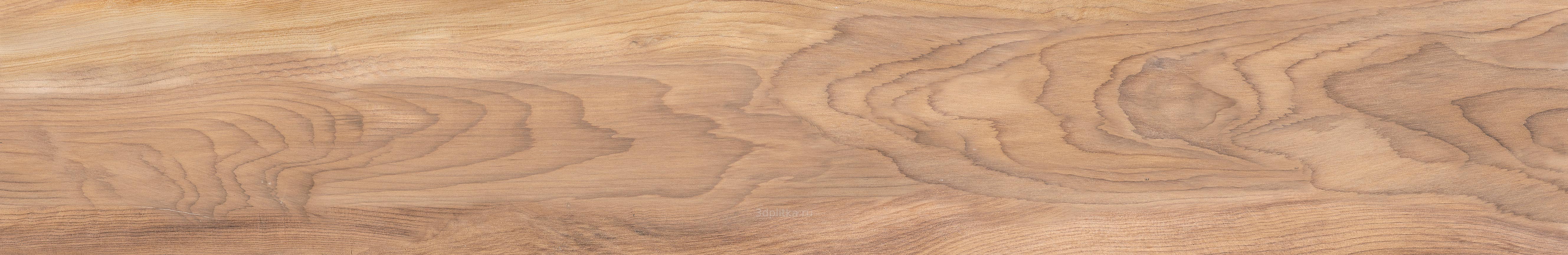 Купить Tau Ceramica Slonwood  20×120 