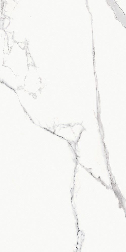 Купить Bien Statuario Goya Rec Full Lap Nano 60x120 