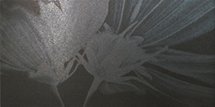Купить Nadir Grafite Musa 1 30х60 