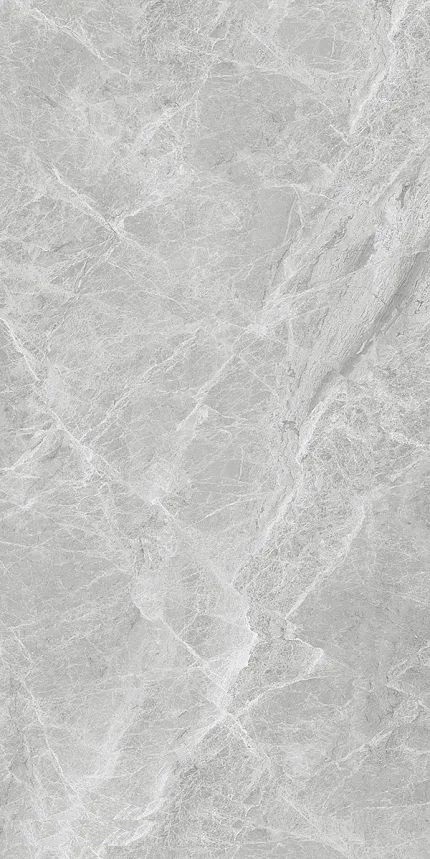 Купить Guangdong Shenghui Ceramics Marbles SH126G008 Rect 60x120 