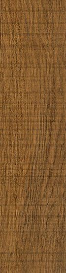 Купить Vives Nora Marron R 21,8х89,3 