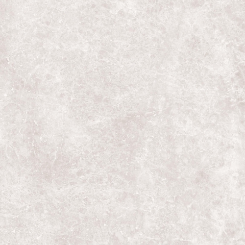Купить Love Ceramic Marble Light Grey Matt Ret 59,2x59,2 