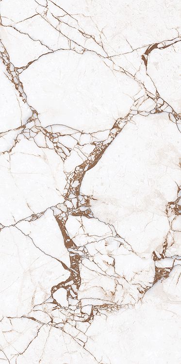 Купить Anka Vira Brown Polished 60x120 