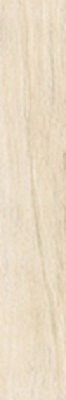 Купить Cerdomus Antique Ivory Fondi Nat. Rett 20х120 
