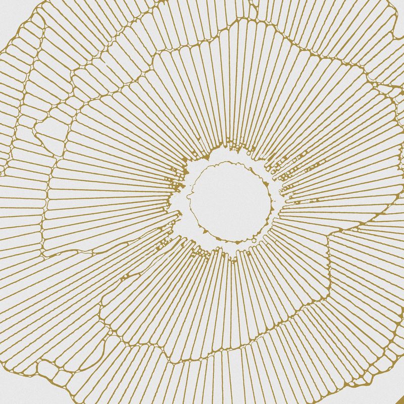 Купить Aparici Art-Deco White Spritz Natural 29,75x29,75 