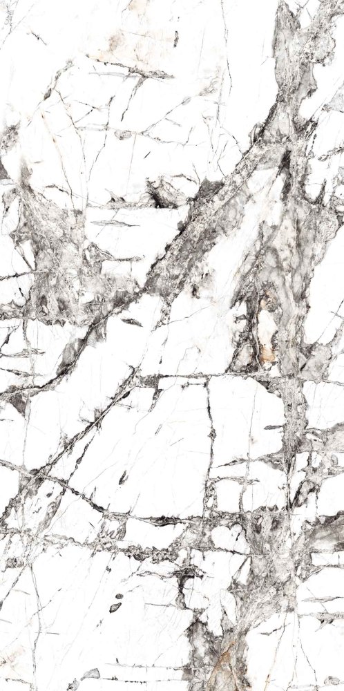 Купить Seramiksan Invisible Marble Full Lappato 60x120 