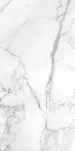 Купить Neodom Ambassador Arabescato Polished 60x120 