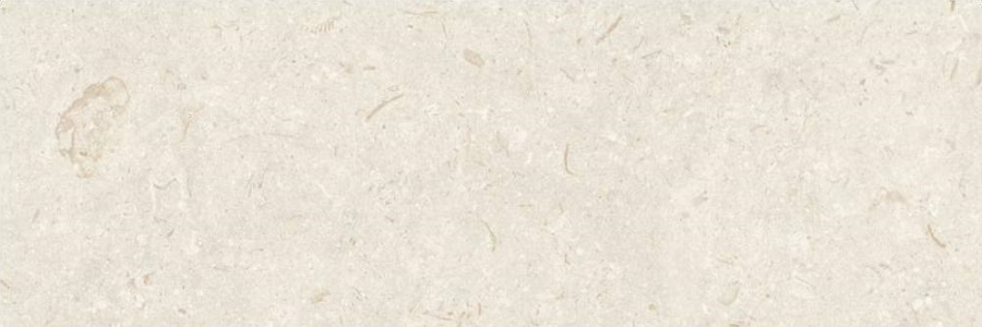 Купить Grespania Fosil Bone 31,5x100 