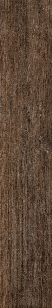 Купить Peronda Foresta Grove-T/20 20X122,5 