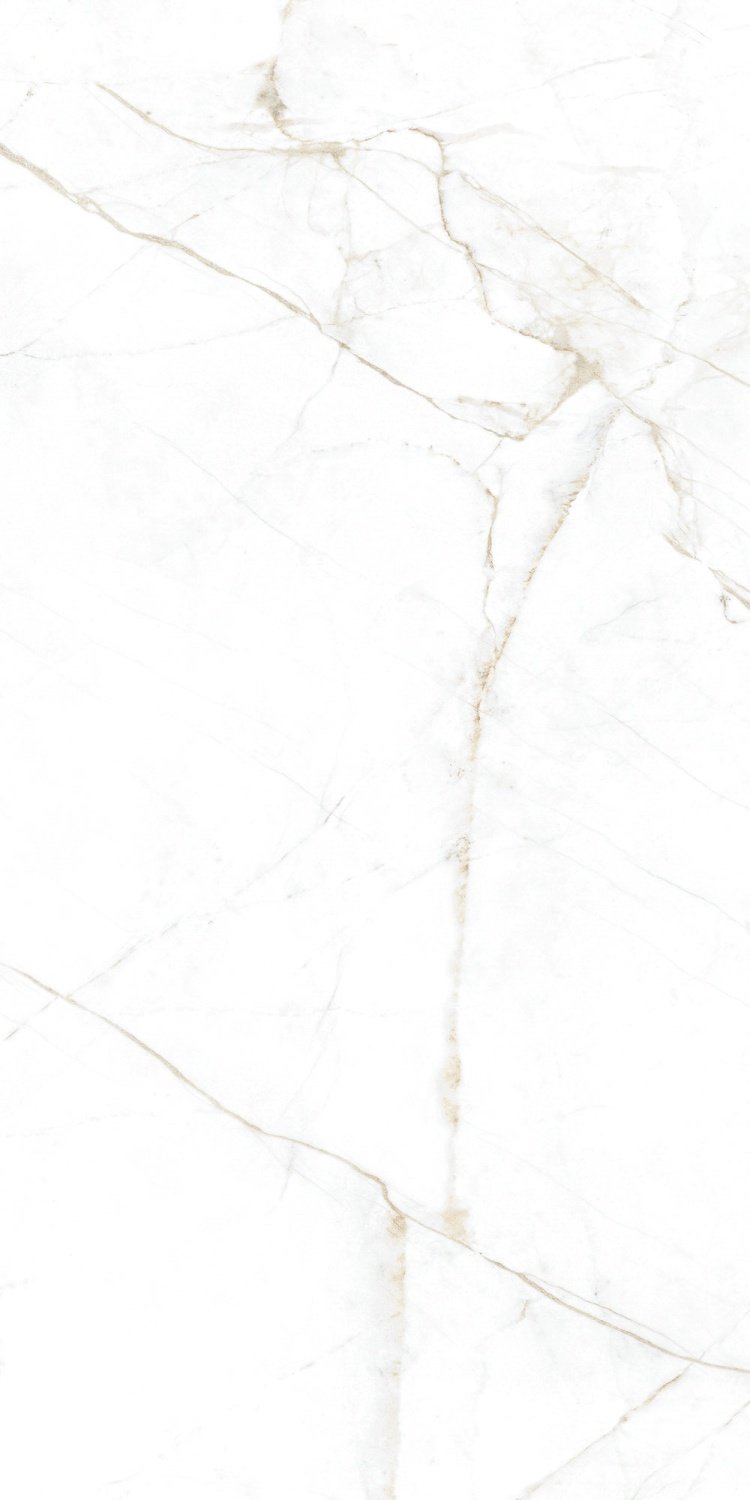Купить Museum Dual White EP 60x120 