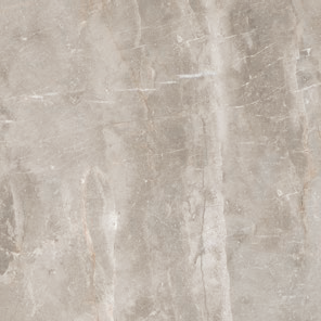 Купить Leopard Rock Gris Carving 60x60 