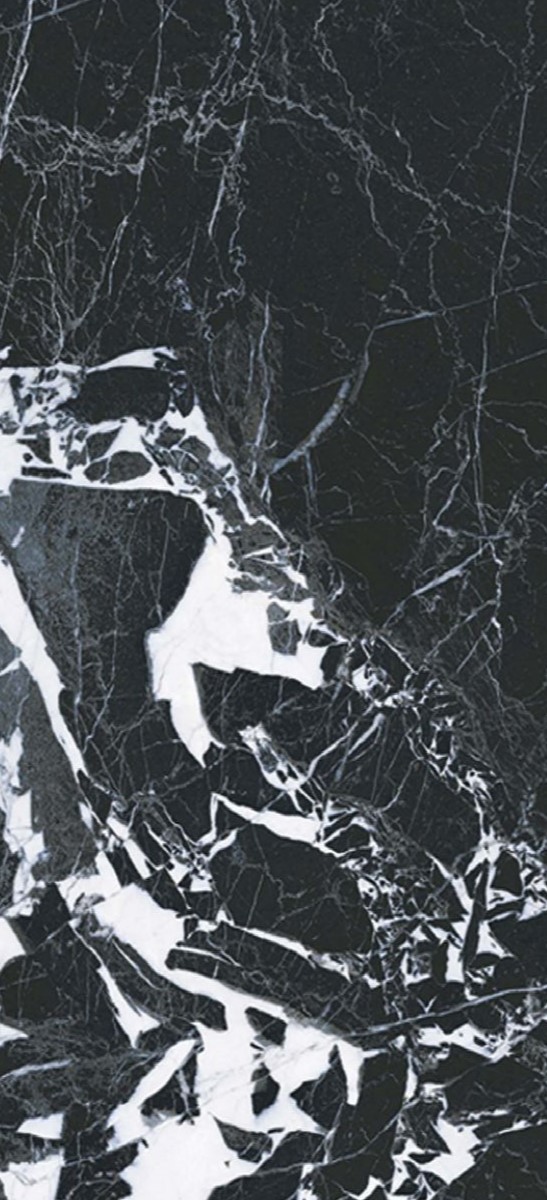 Купить Roberto Cavalli The Wild Spirit Marble Effect-Noir Antique LX RT 78,7x178,7 