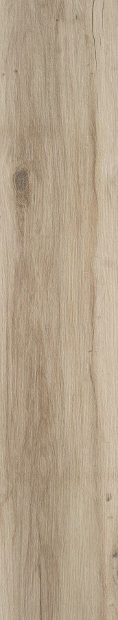 Купить STN Blaze Natural Matt Rect 22,7x119,5 