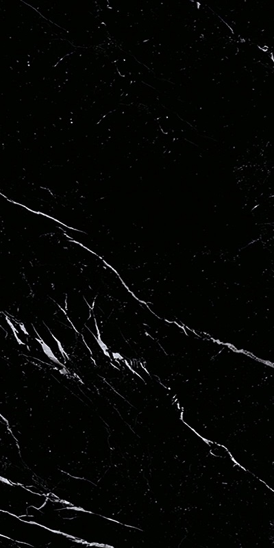 Купить Emil Tele Di Marmo Selection Nero Marquinia Lapp 60x120 