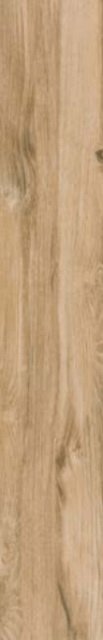 Купить Pamesa Rainier Roble 20x120 