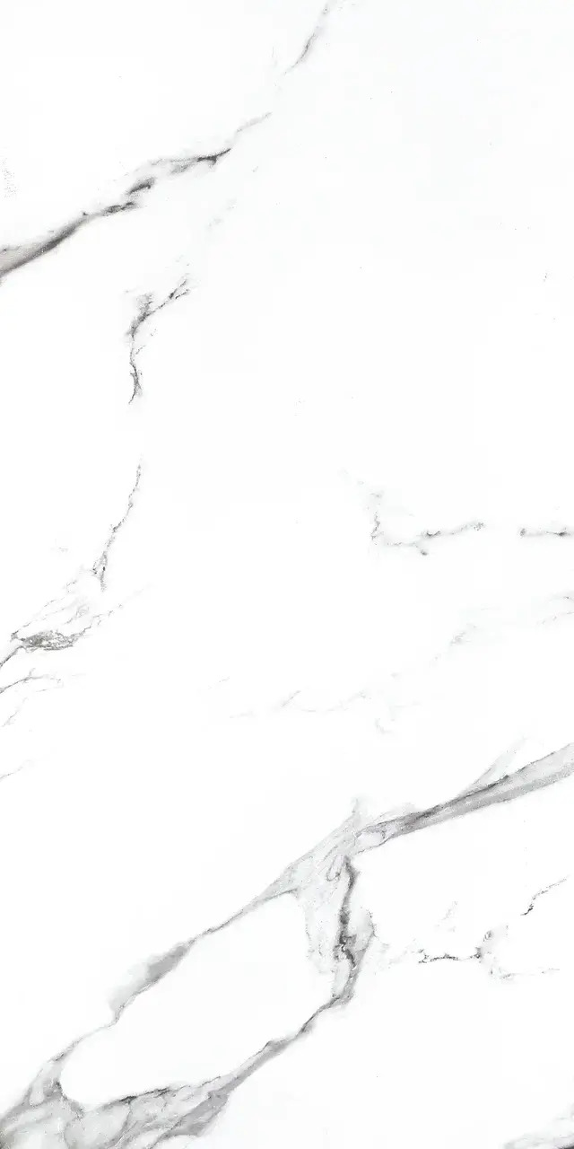 Купить NT Ceramic Bright And Shiny  BB612NTT9100 60x120 