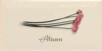 Купить Ape Metro Decor Crema Alium 10х20 