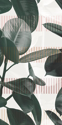 Купить 41zero42 Paper Pro Olivia A 50x100 (2 паттерна) 