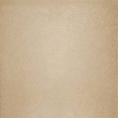 Купить Gardenia Orchidea (Versace) Hermitage BEIGE Flower 78.9х78.9 