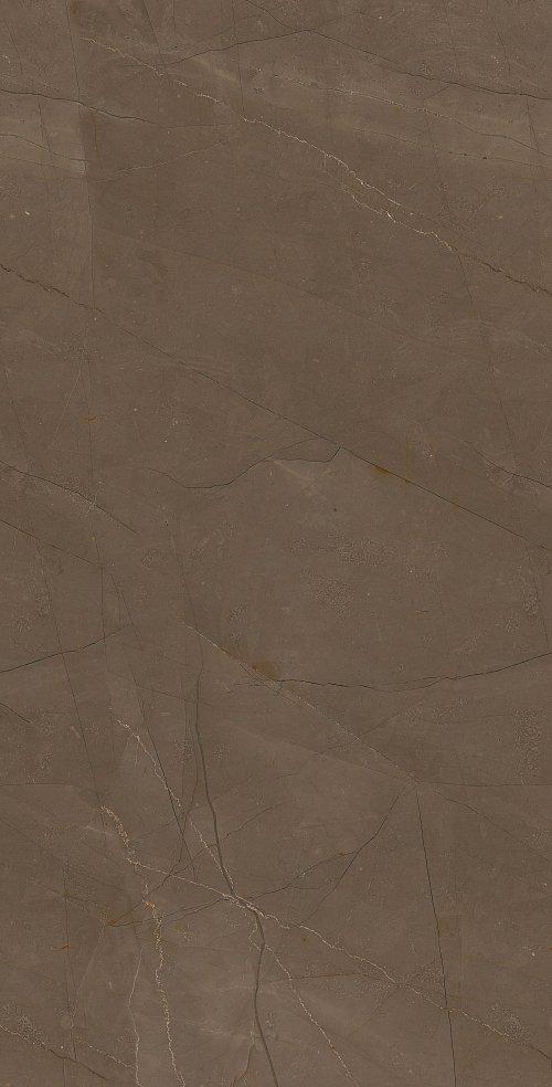 Купить Creto Pulpis Brown W M 31x61 