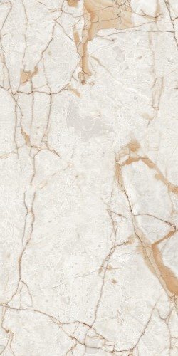 Купить Neodom Ambassador Rosalia Polished 60x120 