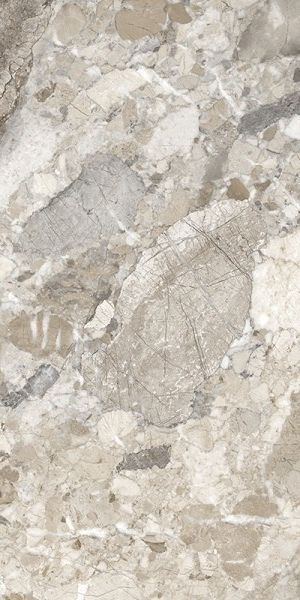 Купить Museum Dreamy Mocha AS 60x120 