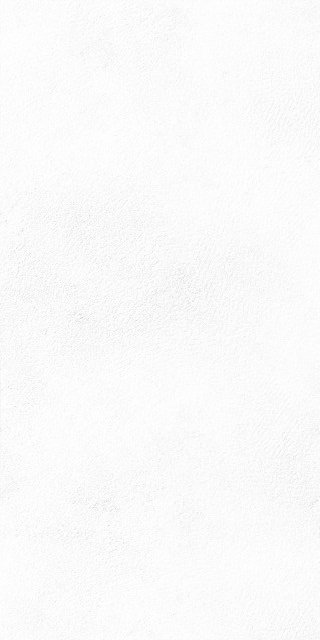 Купить Peronda Planet White Sf/C/R 75,5x151 