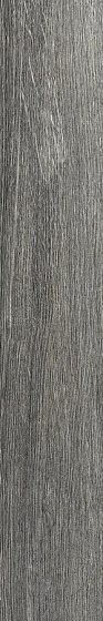 Купить Rex Planches de Rex Perle 15х90 