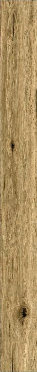Купить Ragno Woodclassic Beige 10x100 